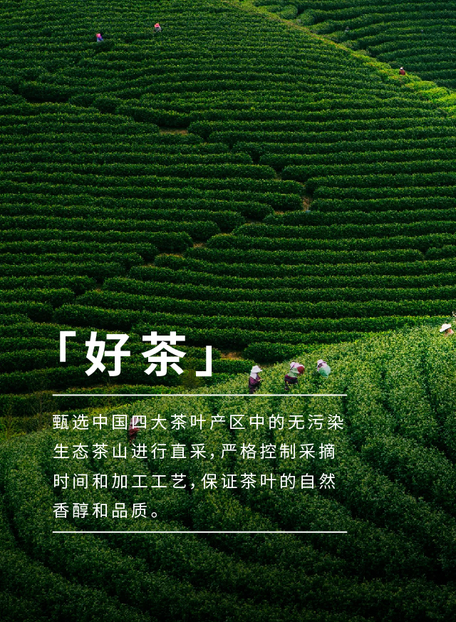 700CC天然苏打水茶饮图